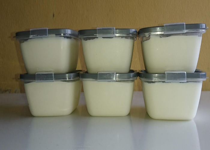 Dairy_and_Non_Dairy_Yoghurt_02