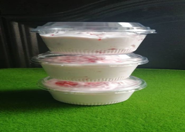 Dairy_and_Non_Dairy_Yoghurt_03